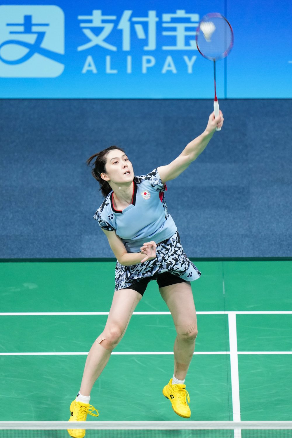 能在阿根廷 能在阿根廷