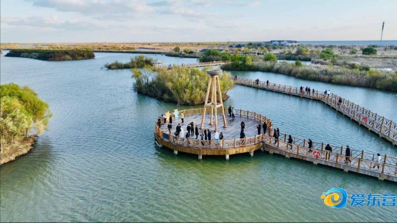 仅仅是一场 仅仅是一场