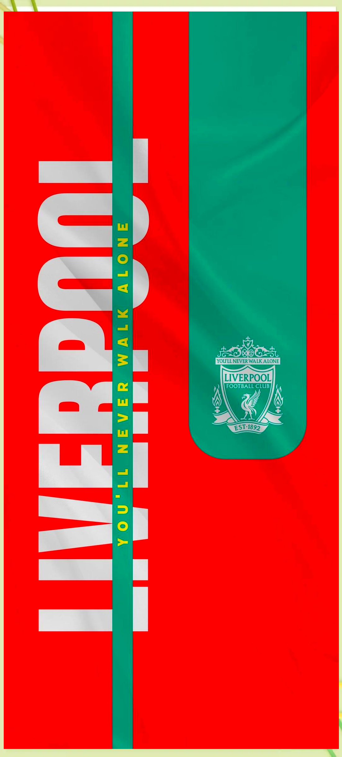 强化后场篮 强化后场篮